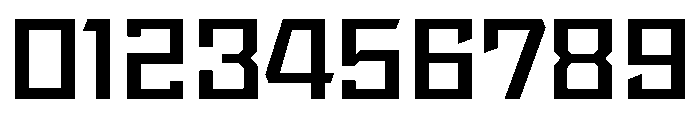 StatenSans WideSemibold Instance Font OTHER CHARS