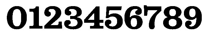 Stringer Web Bold Font OTHER CHARS