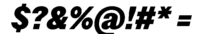 StroyGrotesk BlackItalic Font OTHER CHARS