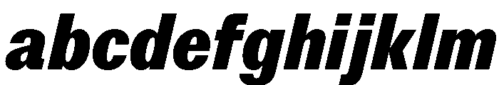 StroyGrotesk BlackItalic FONT