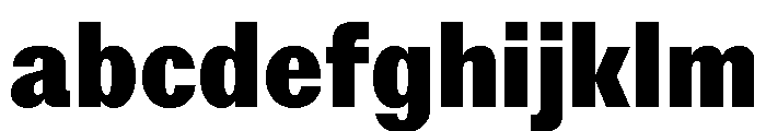 StroyGrotesk Black FONT
