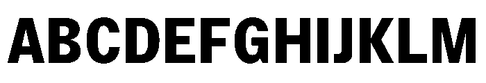 StroyGrotesk Bold Font UPPERCASE