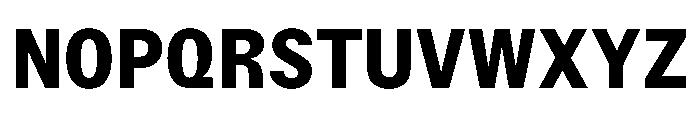 StroyGrotesk Bold Font UPPERCASE