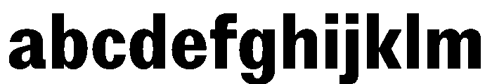 StroyGrotesk Bold FONT