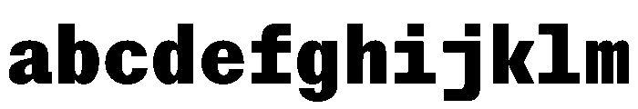 StroyMono Black FONT