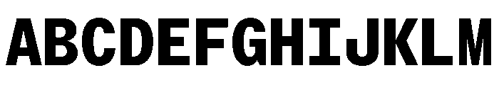 StroyMono Bold Font UPPERCASE