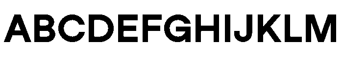 StudioFeixenSans Black Font UPPERCASE