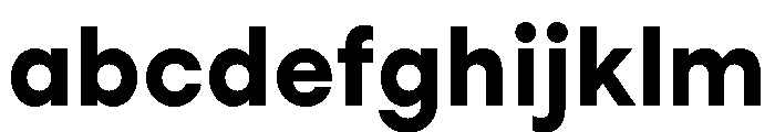 StudioFeixenSans Black FONT