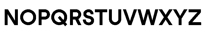 StudioFeixenSans Bold 10fbec59 Font UPPERCASE