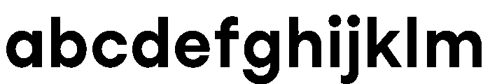 StudioFeixenSans Bold Instance FONT