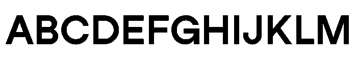 StudioFeixenSans Bold Font UPPERCASE