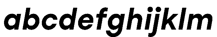 StudioFeixenSans BoldItalic Instance FONT