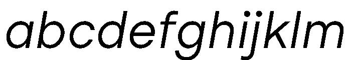 StudioFeixenSans BookItalic Instance FONT