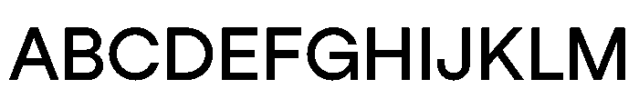 StudioFeixenSans Medium Instance Font UPPERCASE