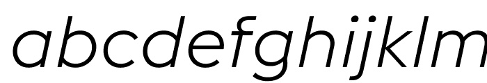 EuclidFlex LightItalic WebXL Font LOWERCASE