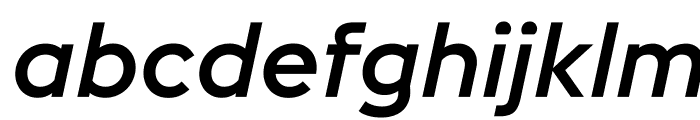 EuclidFlex MediumItalic WebXL Font LOWERCASE