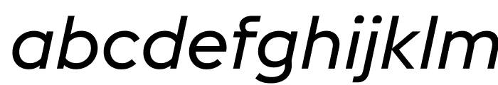 EuclidFlex RegularItalic WebXL Font LOWERCASE