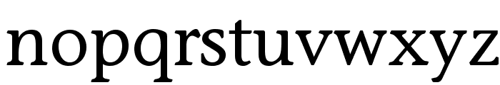 StoneInformalStd-Medium Font LOWERCASE