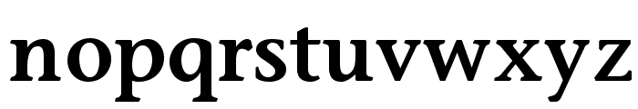 StoneInformalStd-Semibold Font LOWERCASE