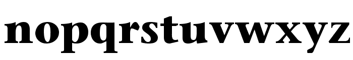 StoneSerifStd-Bold Font LOWERCASE