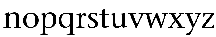 StoneSerifStd-Medium Font LOWERCASE