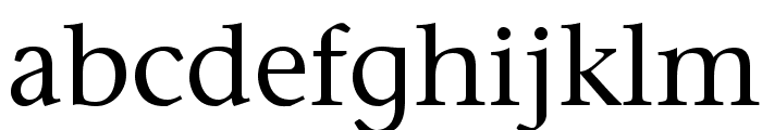 StoneSerifStd-Phonetic Font LOWERCASE