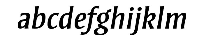 StrayhornMTStd-Italic Font LOWERCASE