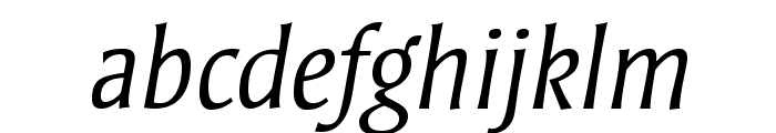 StrayhornMTStd-LightItalic Font LOWERCASE
