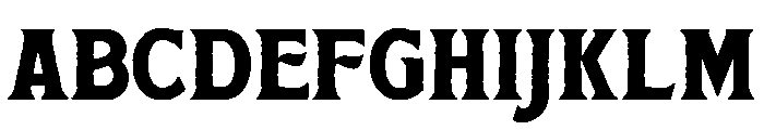 Summer Archive Bold Serif FONT