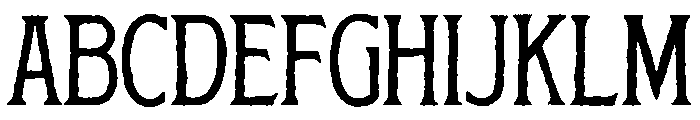 Summer Archive Flared Serif FONT