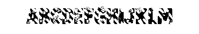 Summer pink Font FONT