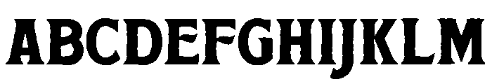 SummerArchive-BoldSerif FONT