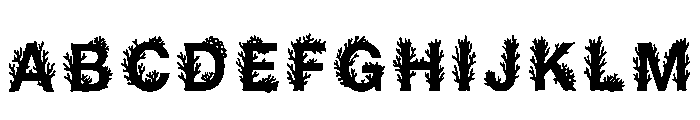 Sunbeam Regular FONT