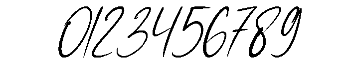 Sunday Holly Italic Font OTHER CHARS