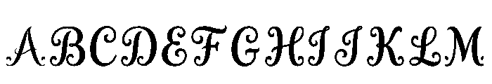 Suri Regular FONT