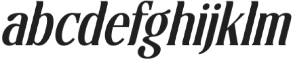 Sunkis Display Italic Italic otf (400) FONT
