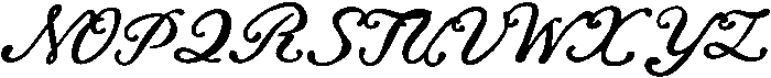 Sunset Palm Script otf (400) Font UPPERCASE