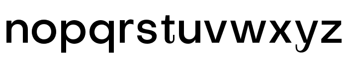 Subjectivity-Medium Font LOWERCASE