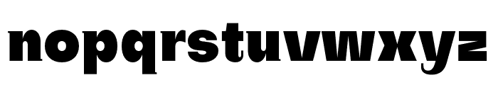 SubjectivitySerif-Black Font LOWERCASE