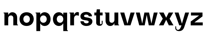 SubjectivitySerif-Bold Font LOWERCASE