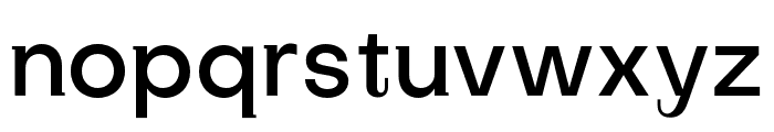 SubjectivitySerif-Medium Font LOWERCASE