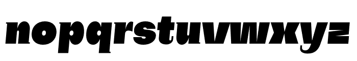 SubjectivitySerif-SuperSlanted Font LOWERCASE