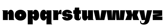 SubjectivitySerif-Super Font LOWERCASE