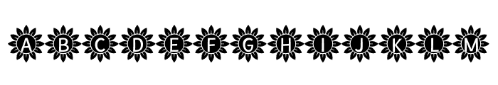 Sunflower Alphabet Solid Font UPPERCASE