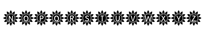 Sunflower Alphabet Solid Font LOWERCASE