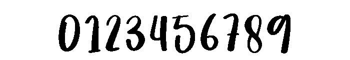 Sunrice Font OTHER CHARS