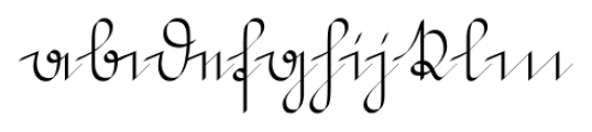 Suetterlin Calligraphic Altn Regular Font LOWERCASE