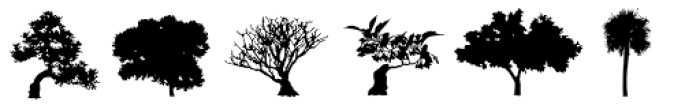 Subikto_Tree Font OTHER CHARS