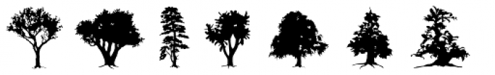 Subikto_Tree Font LOWERCASE