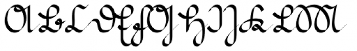 Suetterlin Calligraphic Bold Font UPPERCASE